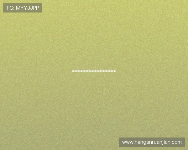 新西兰与埃及世界杯比赛现场交通指南全攻略让你畅享赛事体验